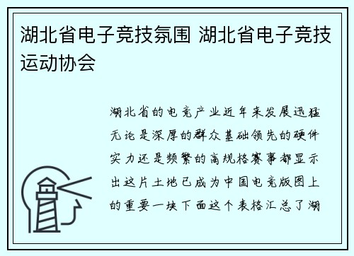湖北省电子竞技氛围 湖北省电子竞技运动协会